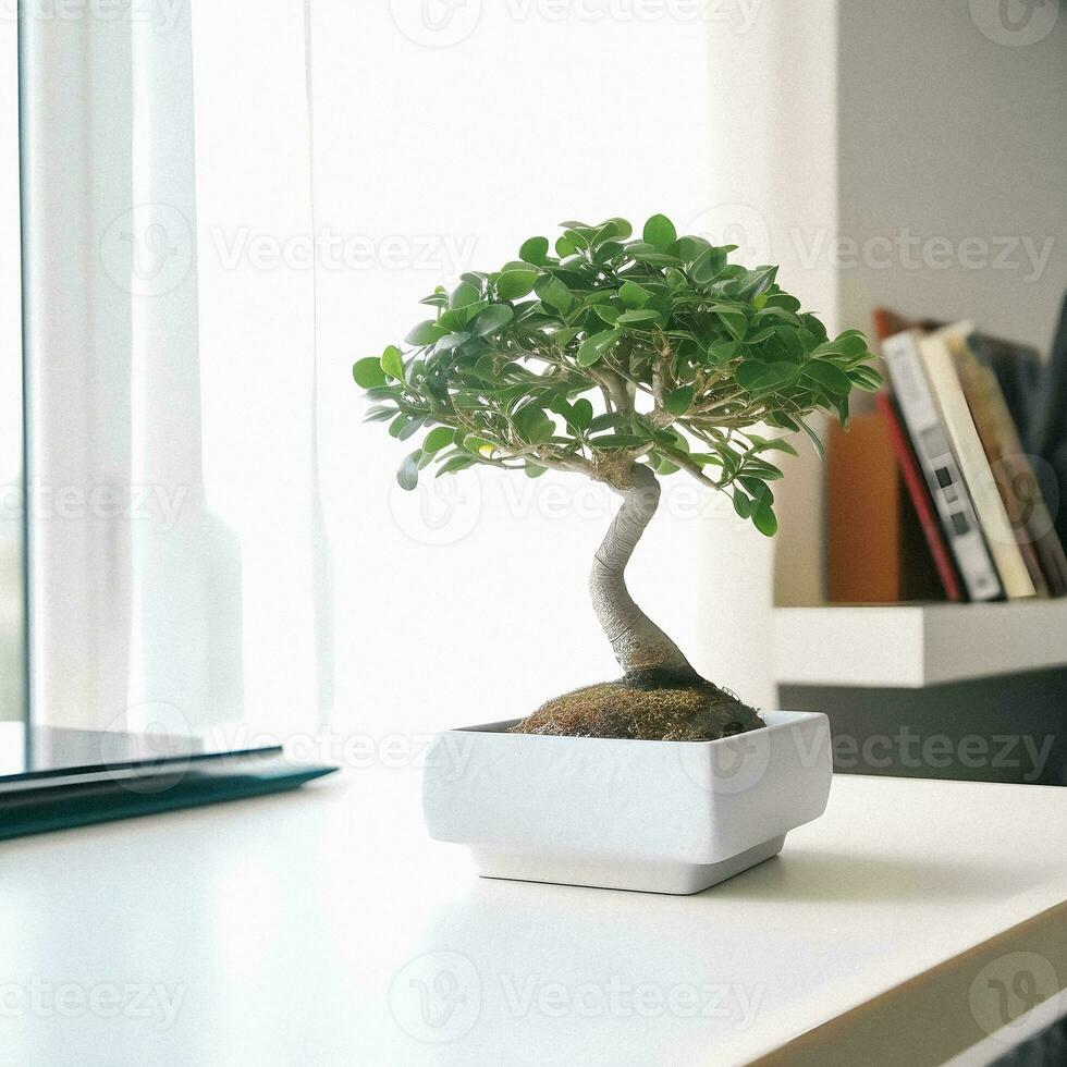 From Desk to Serenity Exploring Bonsai for Beginners in Bright, Colorful Student Apartment photo