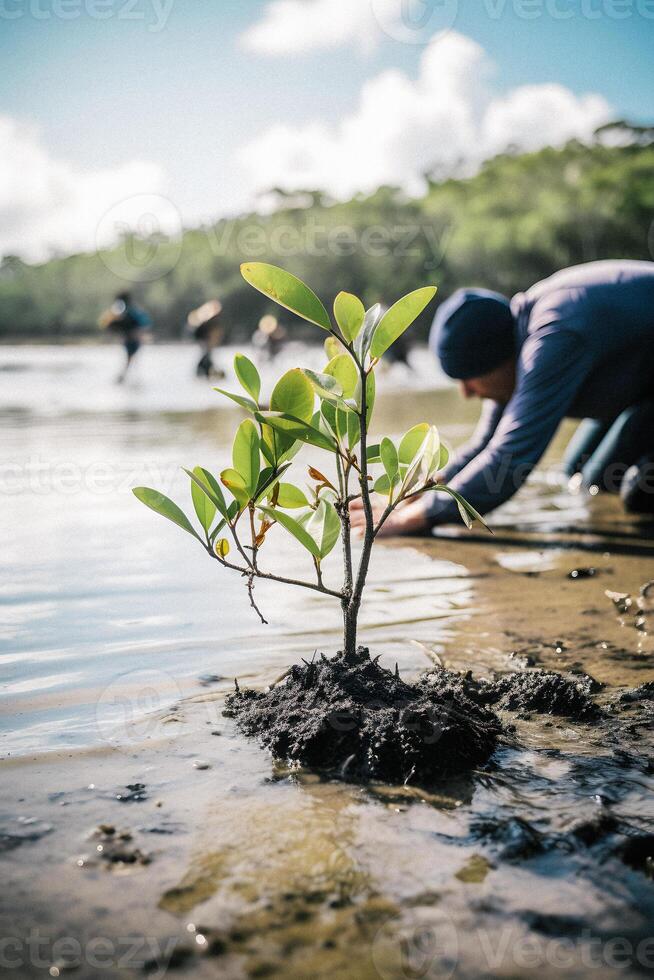Restoring the Coastline Community Engagement in Planting Mangroves for Environment Conservation and Habitat Restoration on Earth Day, Promoting Sustainability. Earth day photo