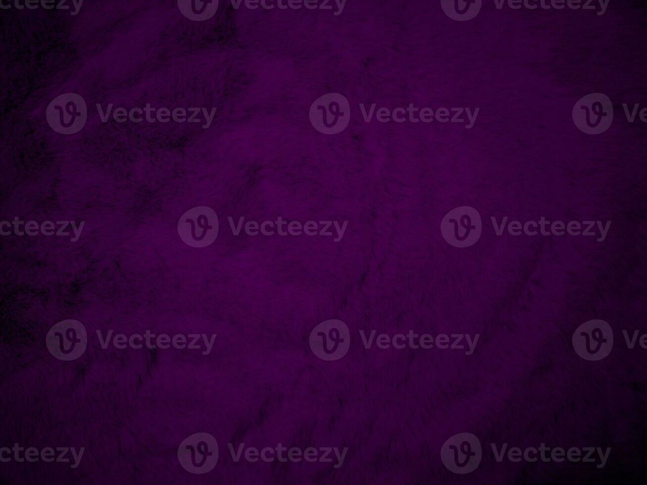 Purple clean wool texture background. light natural sheep wool. serge seamless cotton. texture of fluffy fur for designers. Fabric close up fragment violet flannel haircloth carpet broadcloth. photo