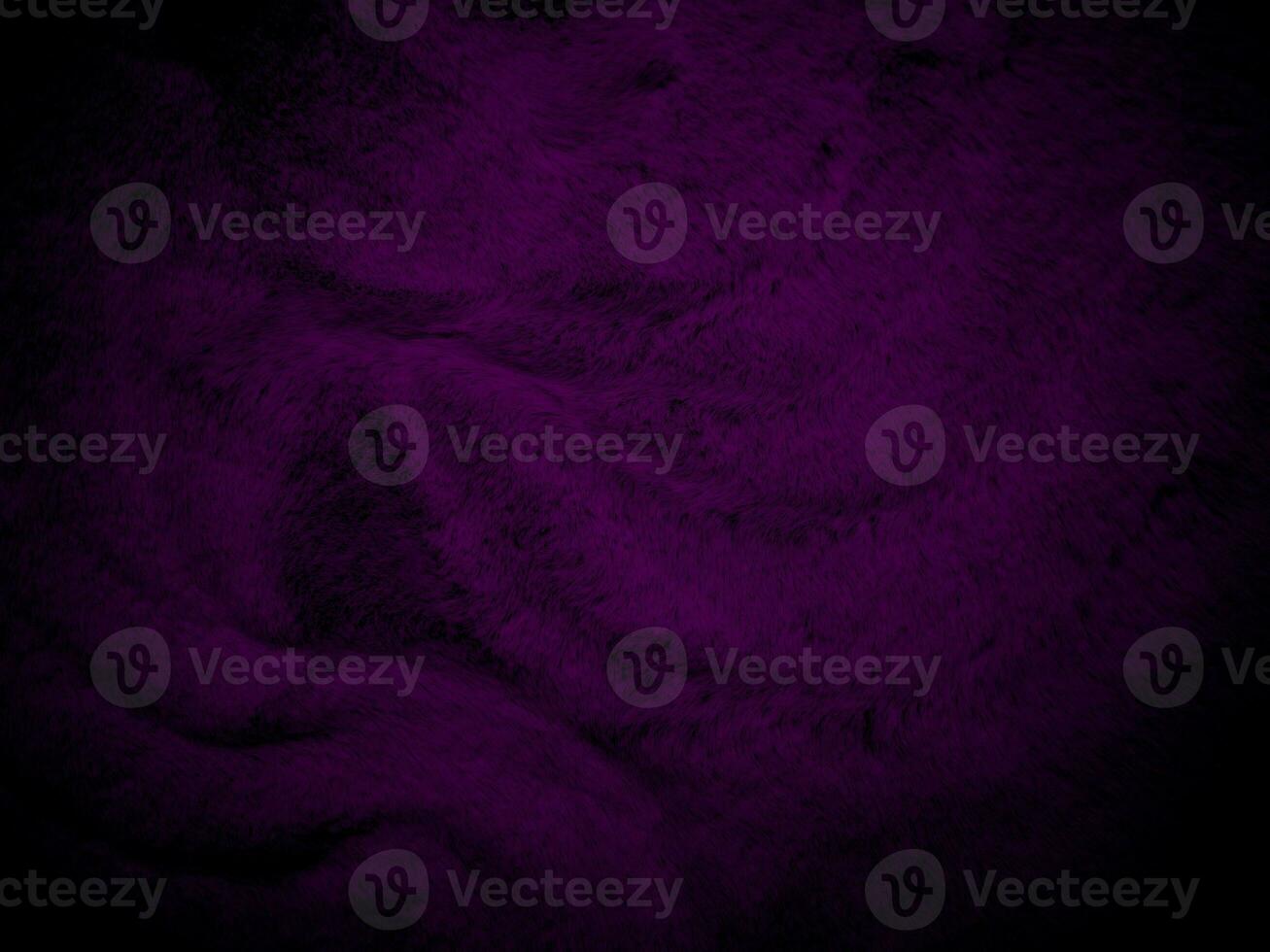 Purple clean wool texture background. light natural sheep wool. serge seamless cotton. texture of fluffy fur for designers. Fabric close up fragment violet flannel haircloth carpet broadcloth. photo