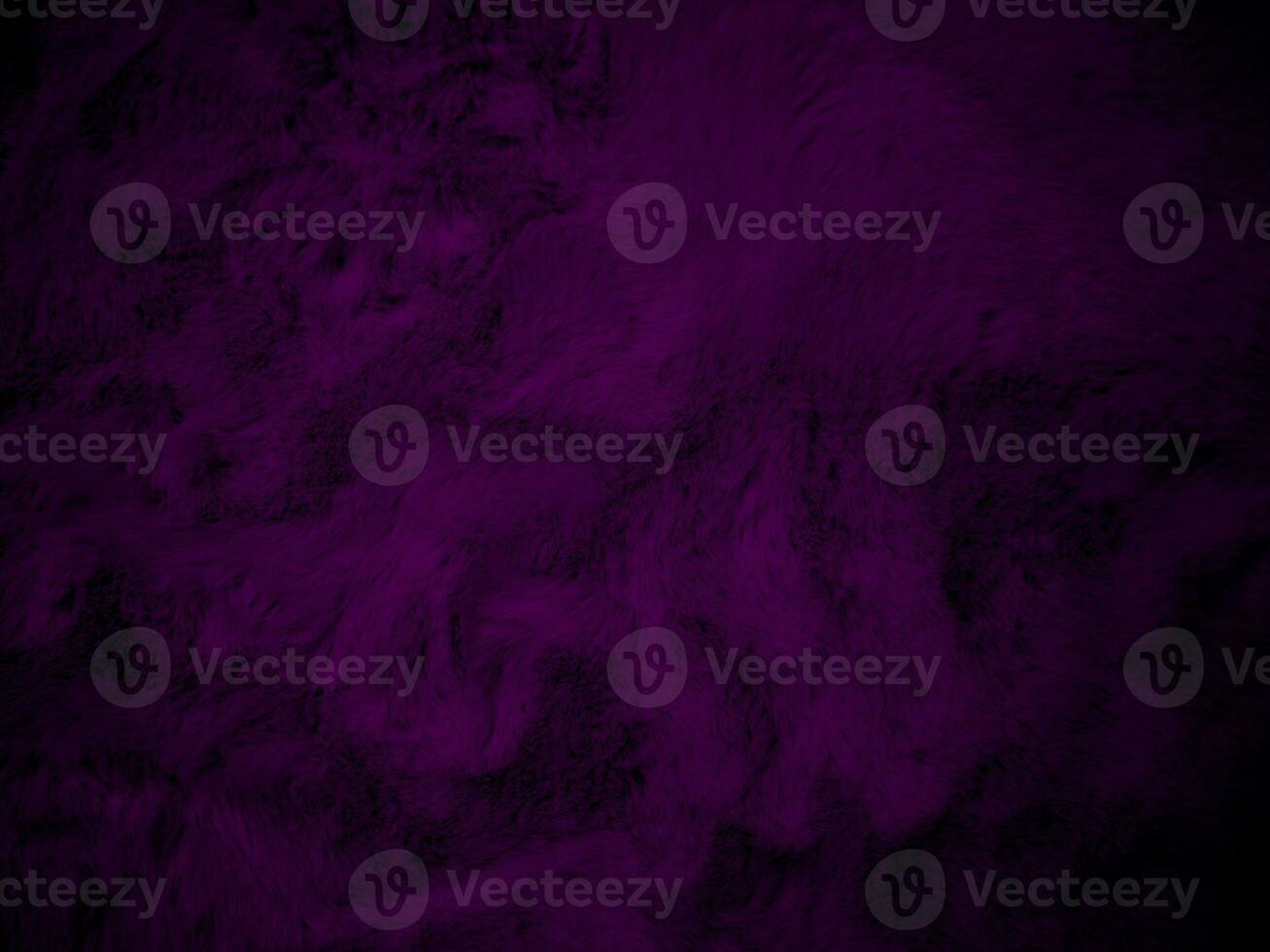 Purple clean wool texture background. light natural sheep wool. serge seamless cotton. texture of fluffy fur for designers. Fabric close up fragment violet flannel haircloth carpet broadcloth. photo