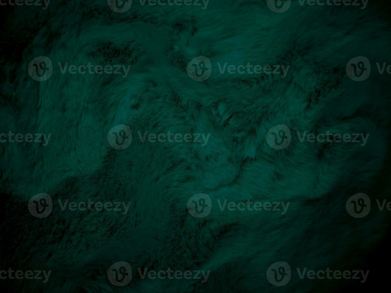 Green clean wool texture background. light natural sheep wool. serge seamless cotton. texture of fluffy fur for designers. close up fragment green flannel haircloth carpet broadcloth. photo