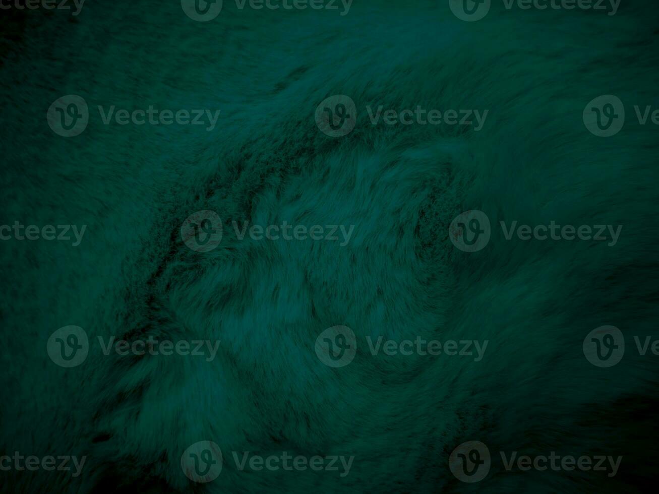 Green clean wool texture background. light natural sheep wool. serge seamless cotton. texture of fluffy fur for designers. close up fragment green flannel haircloth carpet broadcloth. photo