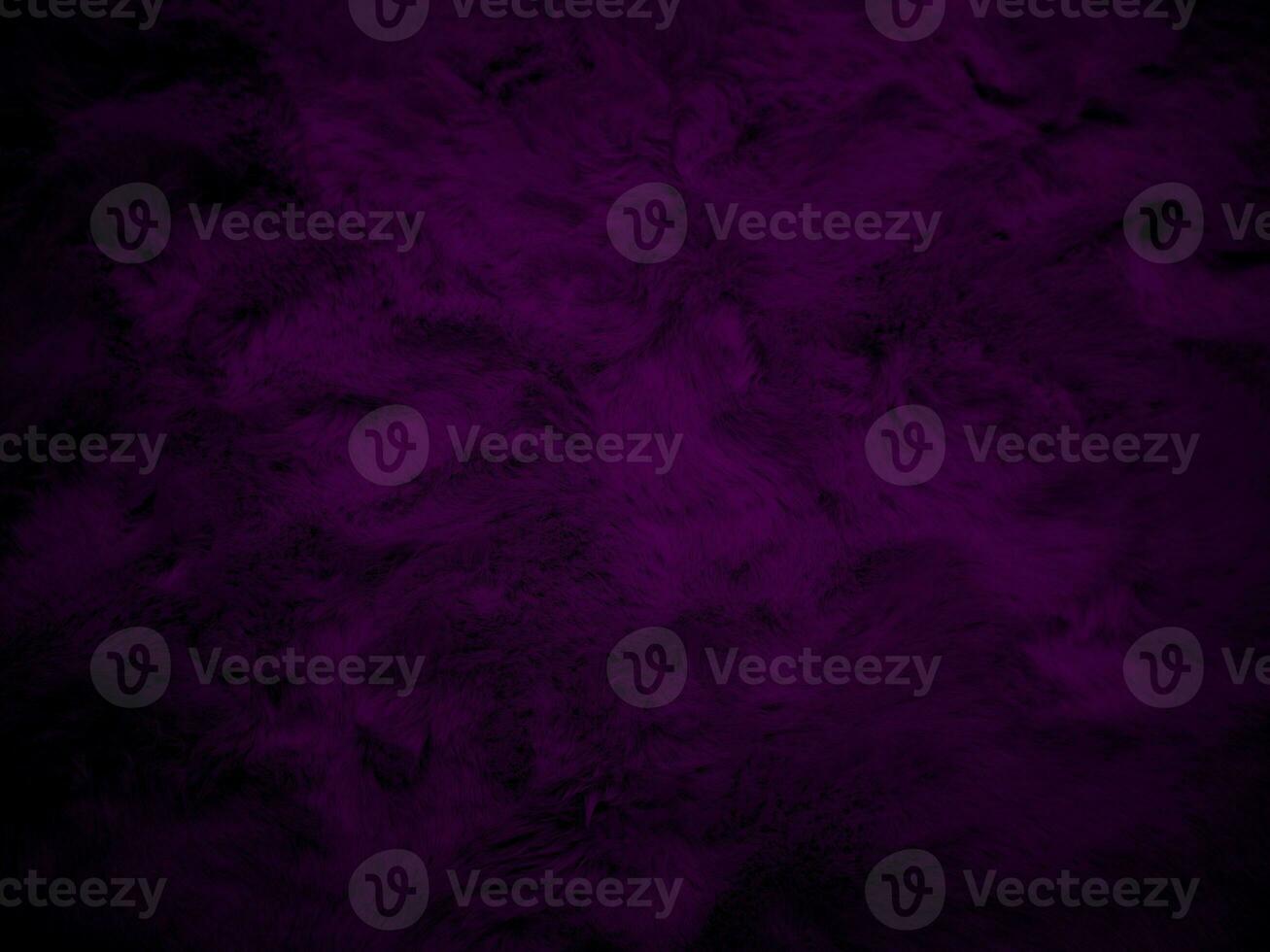 Purple clean wool texture background. light natural sheep wool. serge seamless cotton. texture of fluffy fur for designers. Fabric close up fragment violet flannel haircloth carpet broadcloth. photo