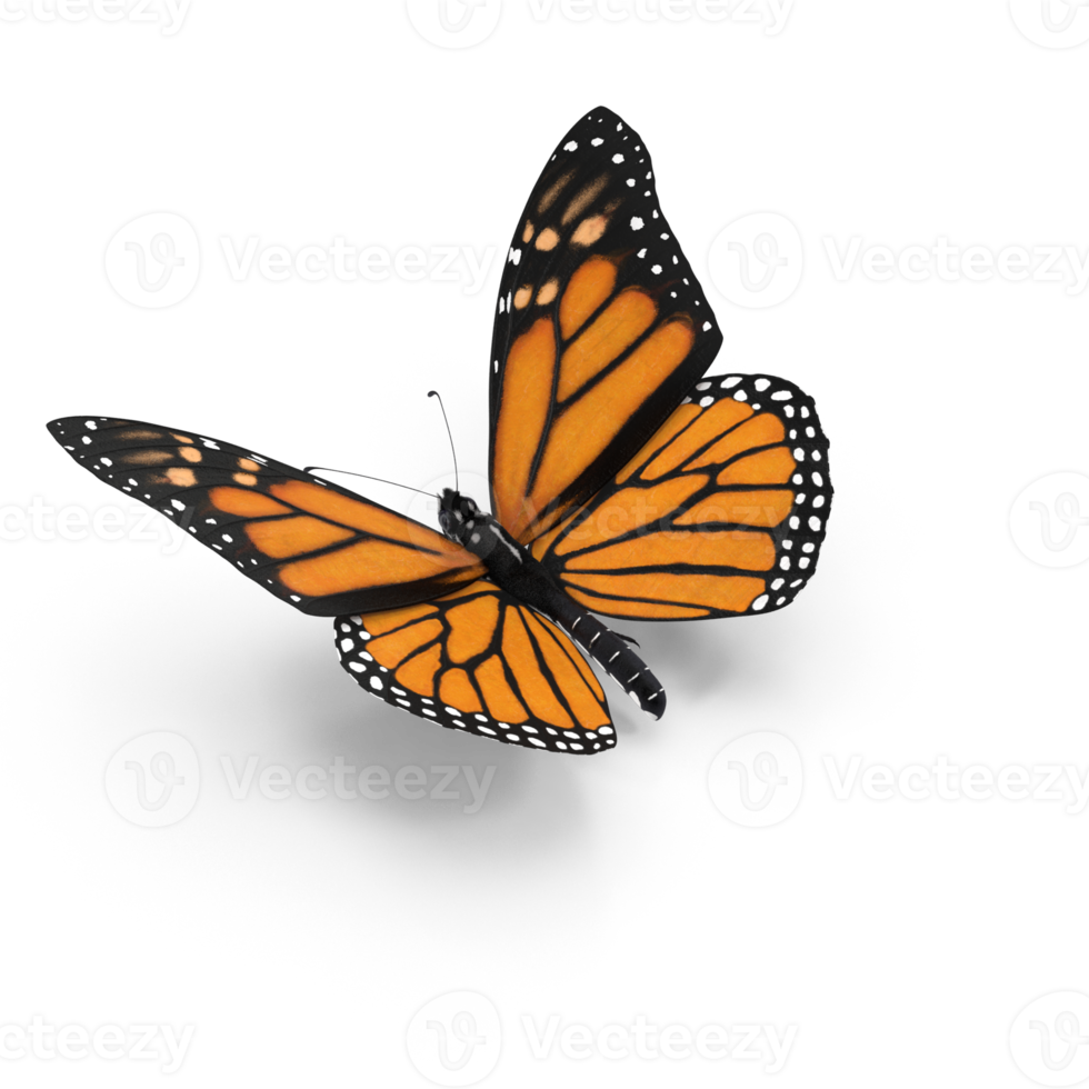 Monarch butterfly flying 25138515 png