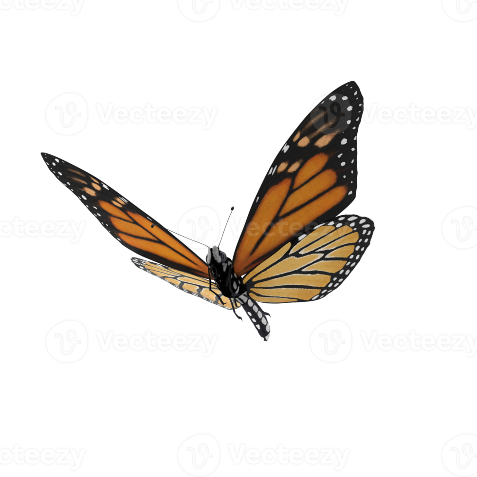 Monarch butterfly flying 25138548 PNG