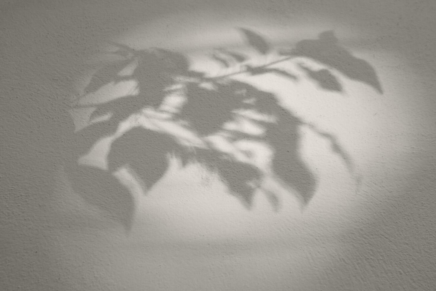 Seamless texture of white cement wall a rough surface and leaf shadow, with space for text, for a background photo