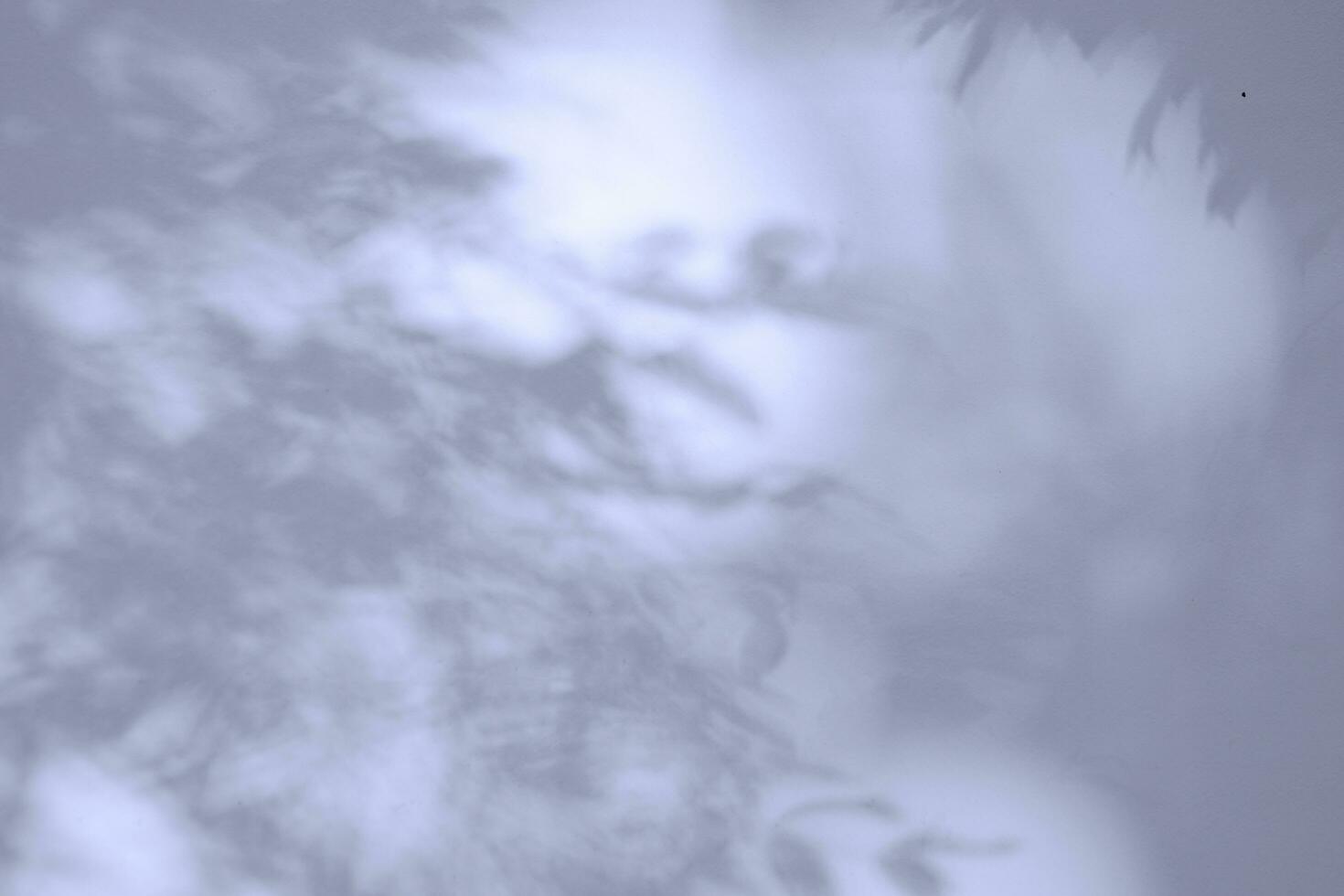 Seamless texture of white cement wall a rough surface and leaf shadow, with space for text, for a background photo