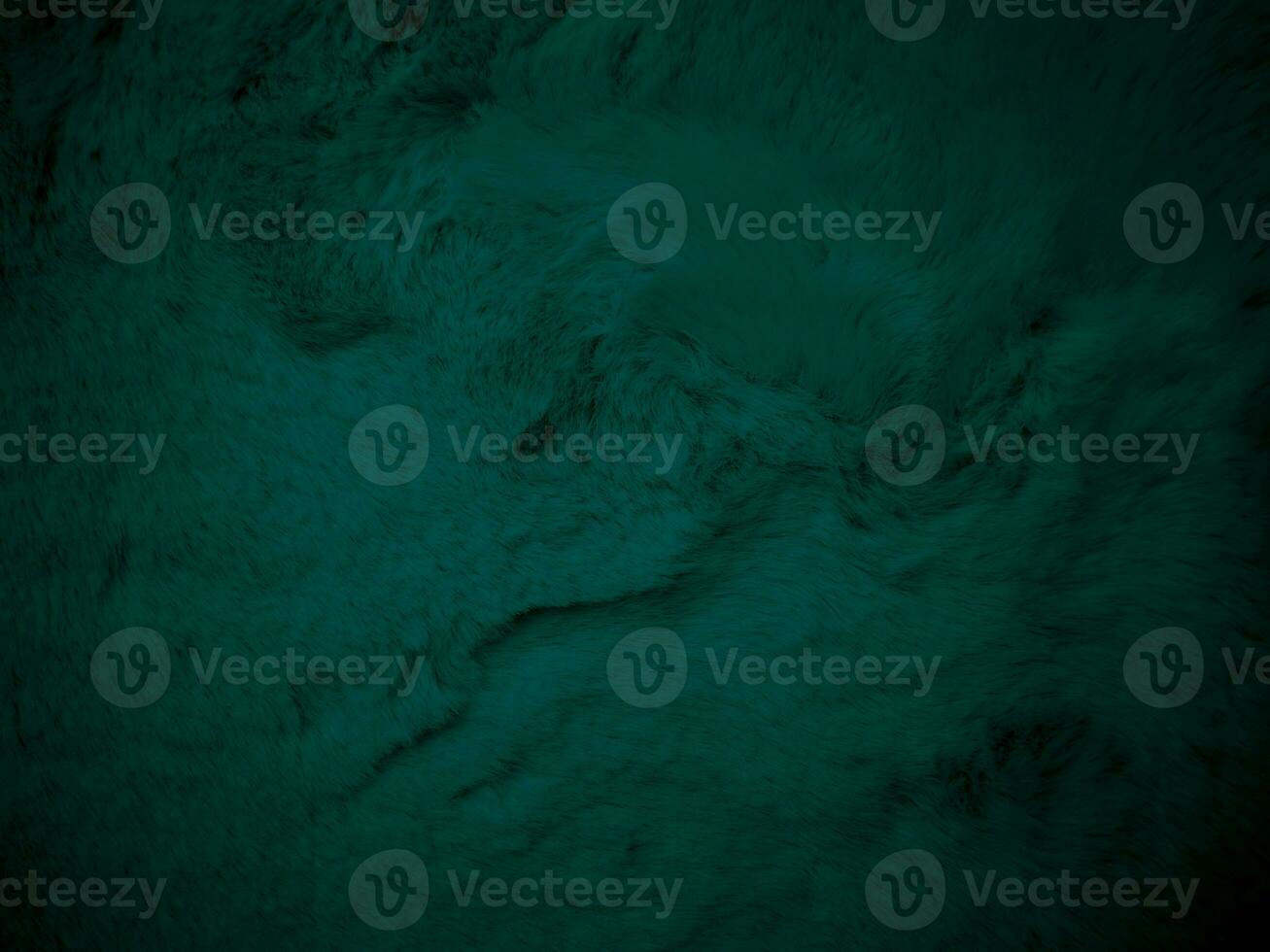 Green clean wool texture background. light natural sheep wool. serge seamless cotton. texture of fluffy fur for designers. close up fragment green flannel haircloth carpet broadcloth. photo