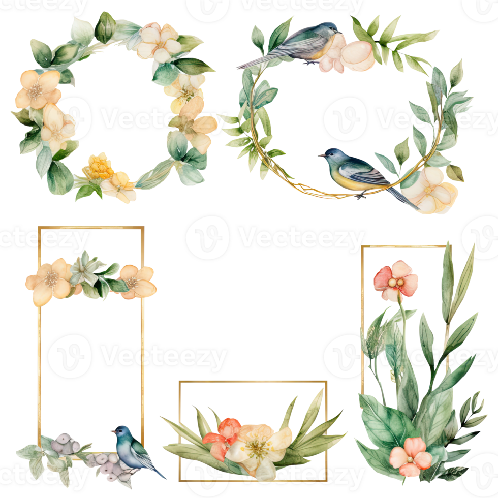 waterverf reeks van vogelstand met bloemen en ronde en rechthoek kader. png