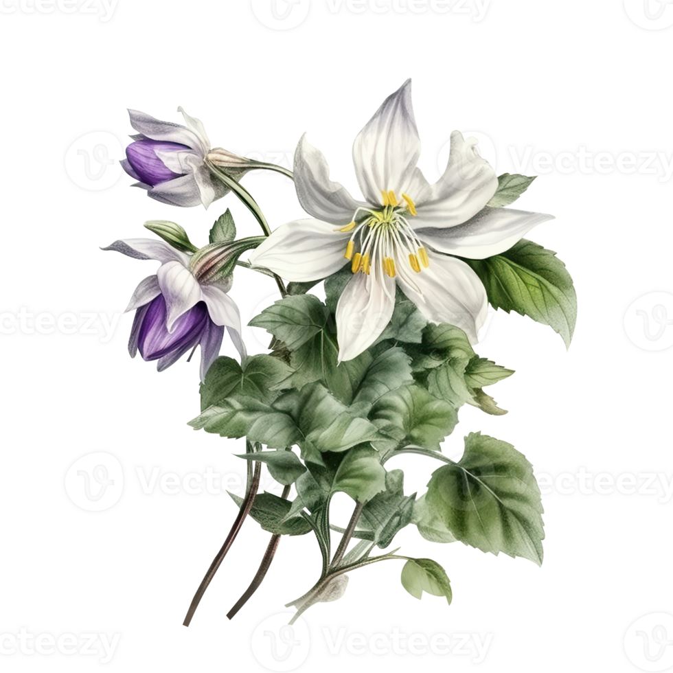 White and Purple Hibiscus Flower and Leaves Arrangement for Bouquet. Vector Illustration. png