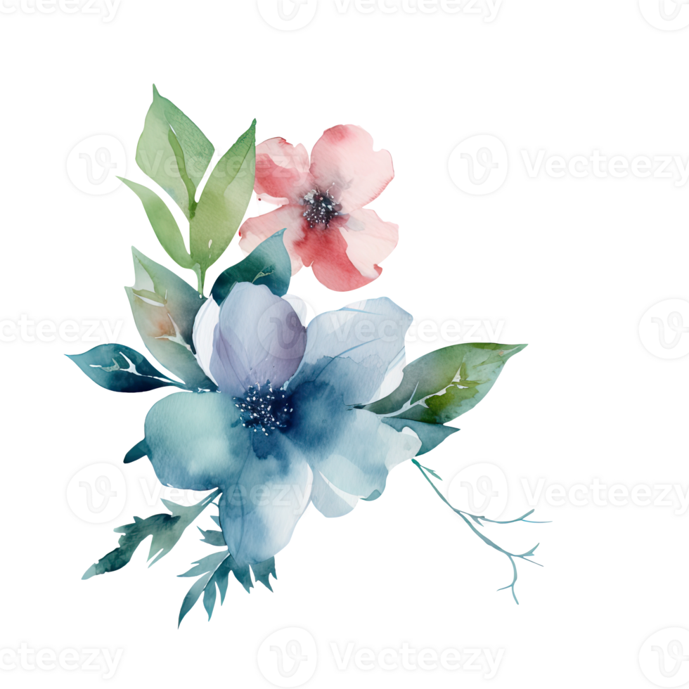 Watercolor Drawing Blossom Clementine Flowers, Leaves Arrangement of Bouquet. Vector Illustration. png