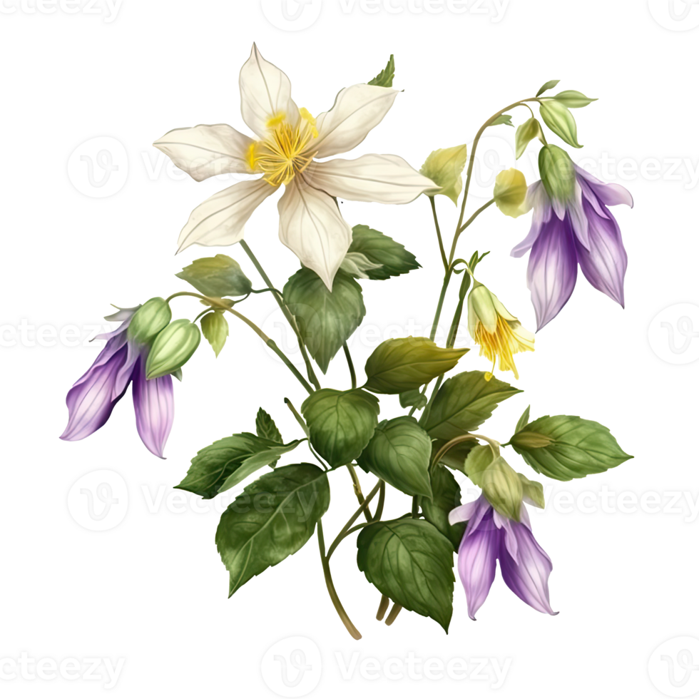White and Purple Hibiscus Flower and Leaves Arrangement for Bouquet. Vector Illustration. png