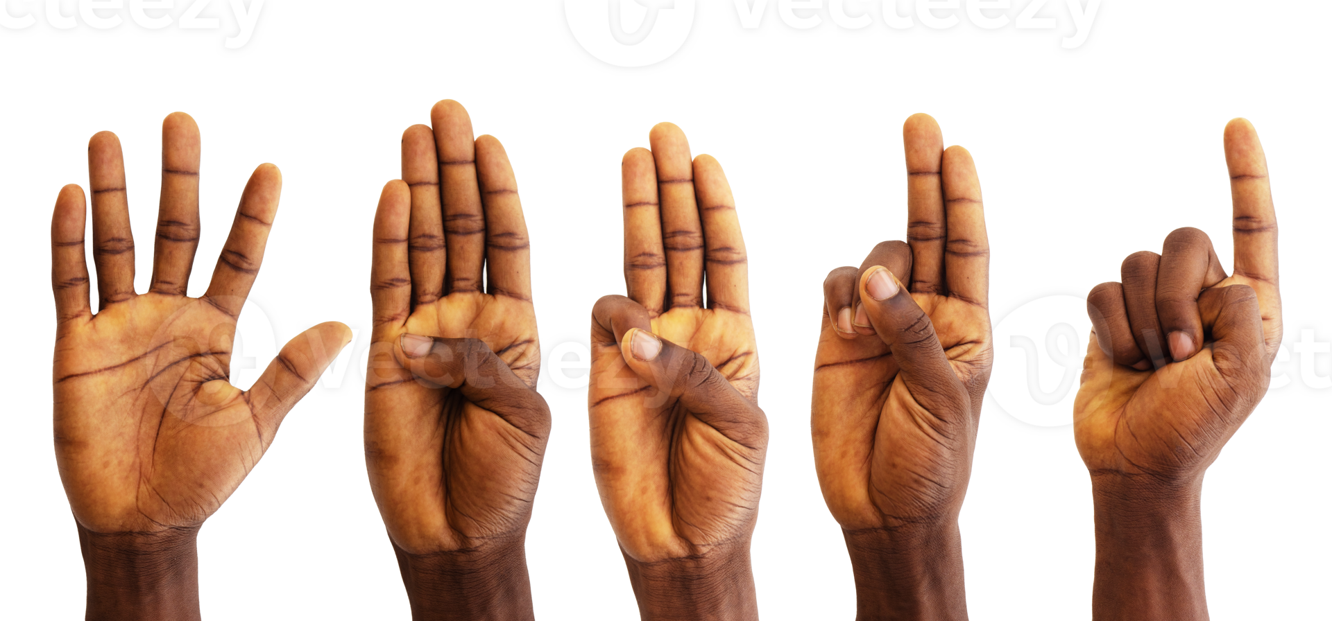 Set of counting black hands isolated on transparent background. Counting from 5 to 1 png