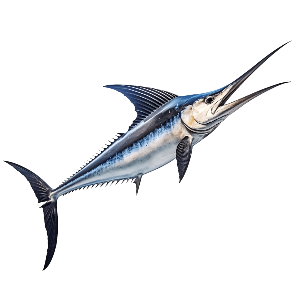 Swordfish isolated on transparent background. AI Generated png