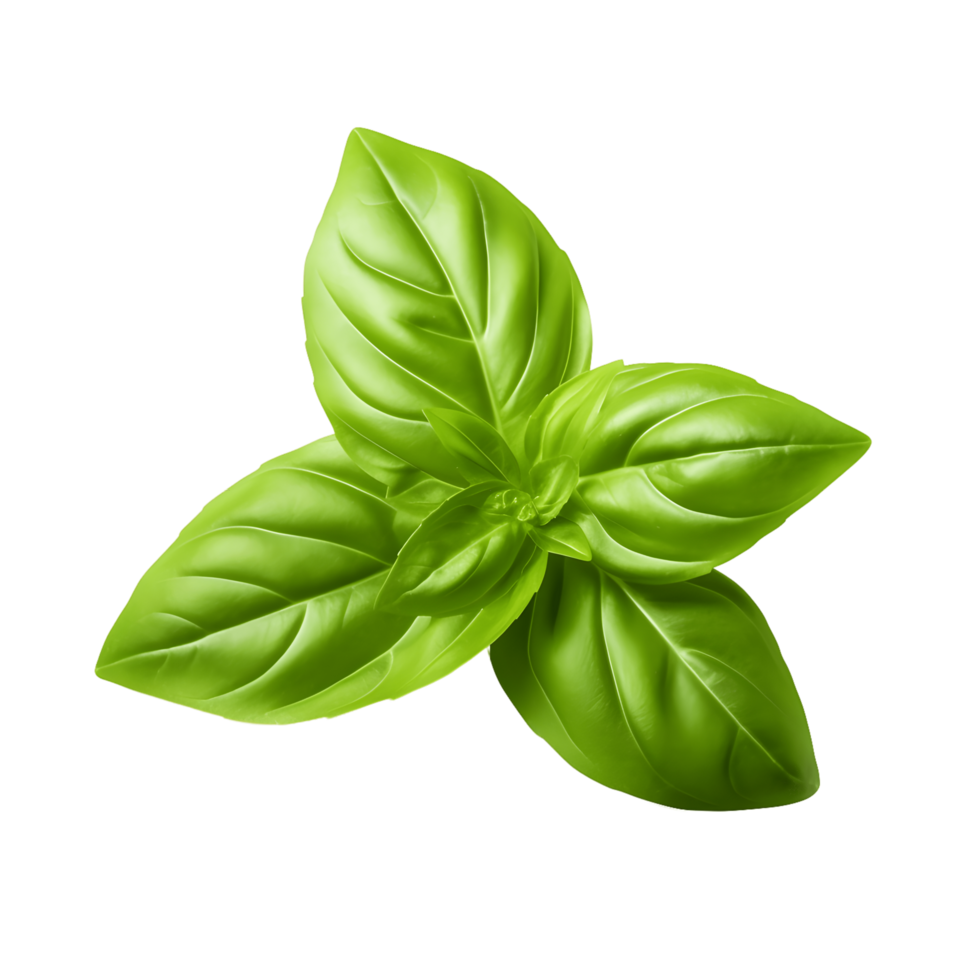 Fresh organic basil leaves, close-up, isolated on transparent background. AI Generated png