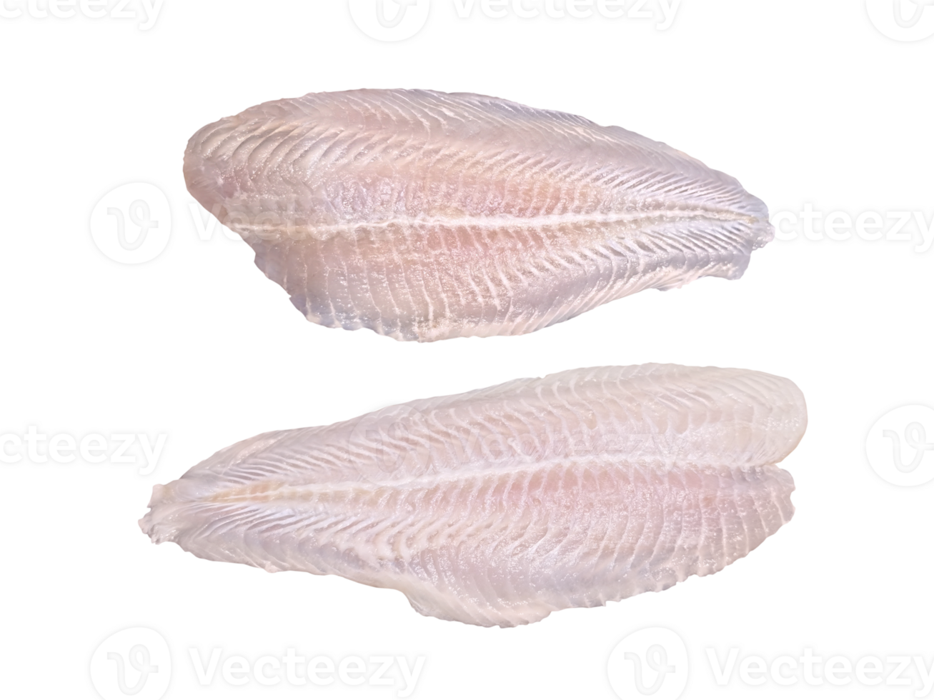 Fresh dolly fish fillet, sliced, isolated   PNG transparent