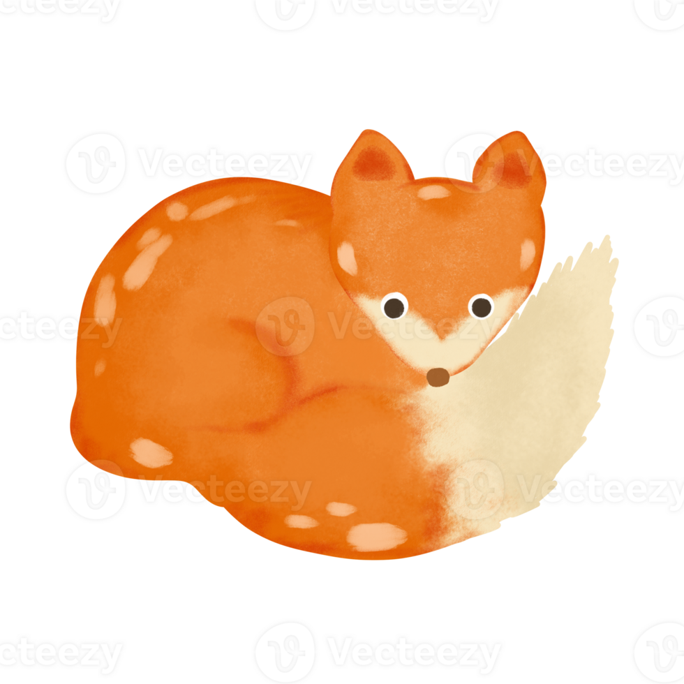 Orange Fox animal Autumn collection Hand drawn illustration drawing