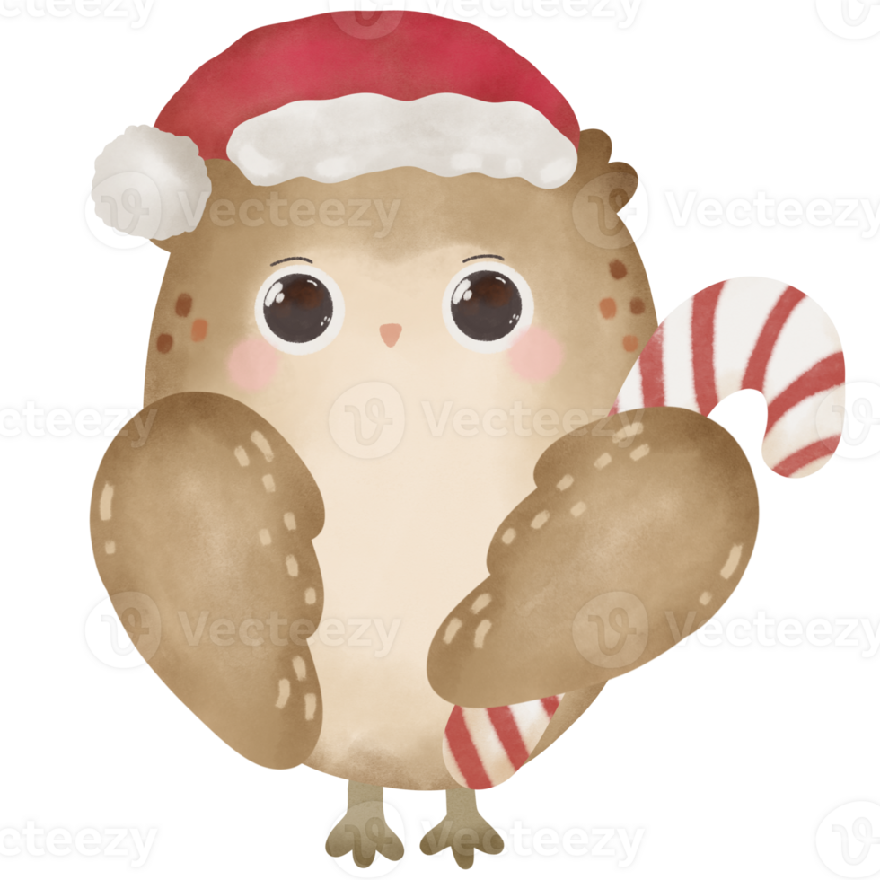 Christmas owl with a candy cane hand drawn illustration water color pastel png