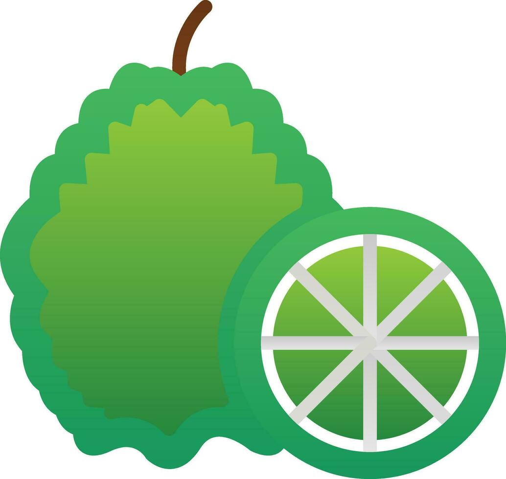 Kaffir lime Vector Icon Design