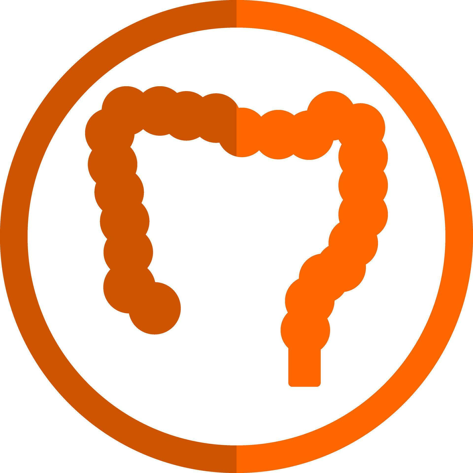 Large Intestine Vector Icon Design 25151818 Vector Art At Vecteezy Large Intestine Vector Icon Design 25151818 Vector Art At Vecteezy