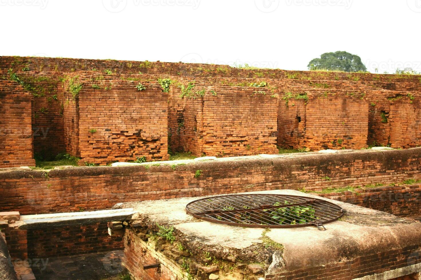 Ruins of Nalanda University photo