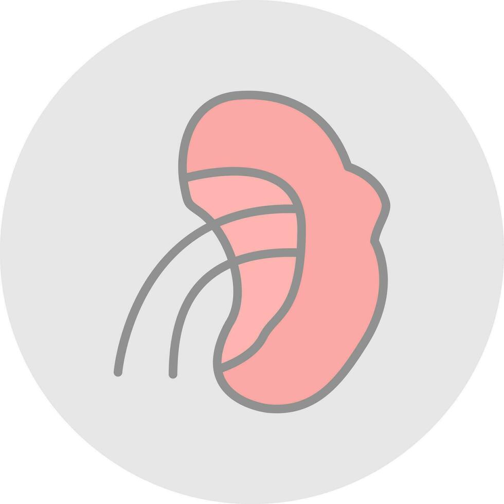 Spleen Vector Icon Design