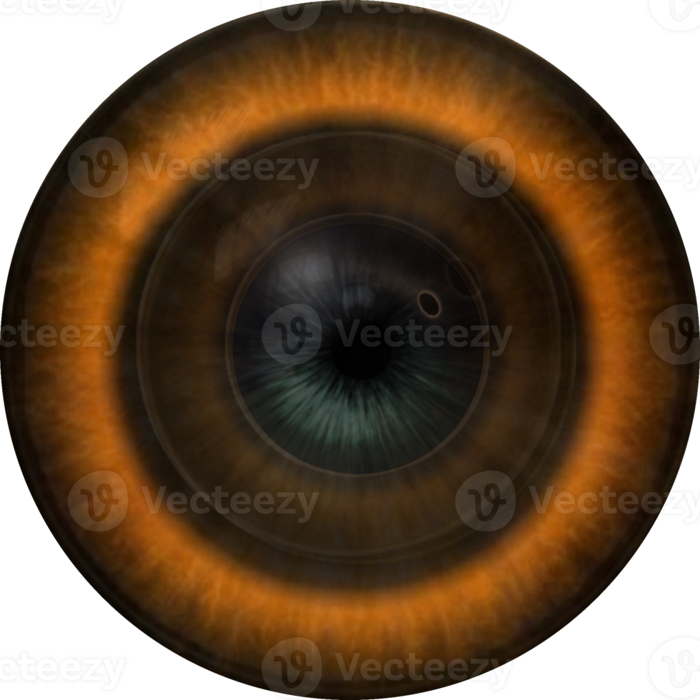 Human, animal, fantasy eye. Iris, pupil. png