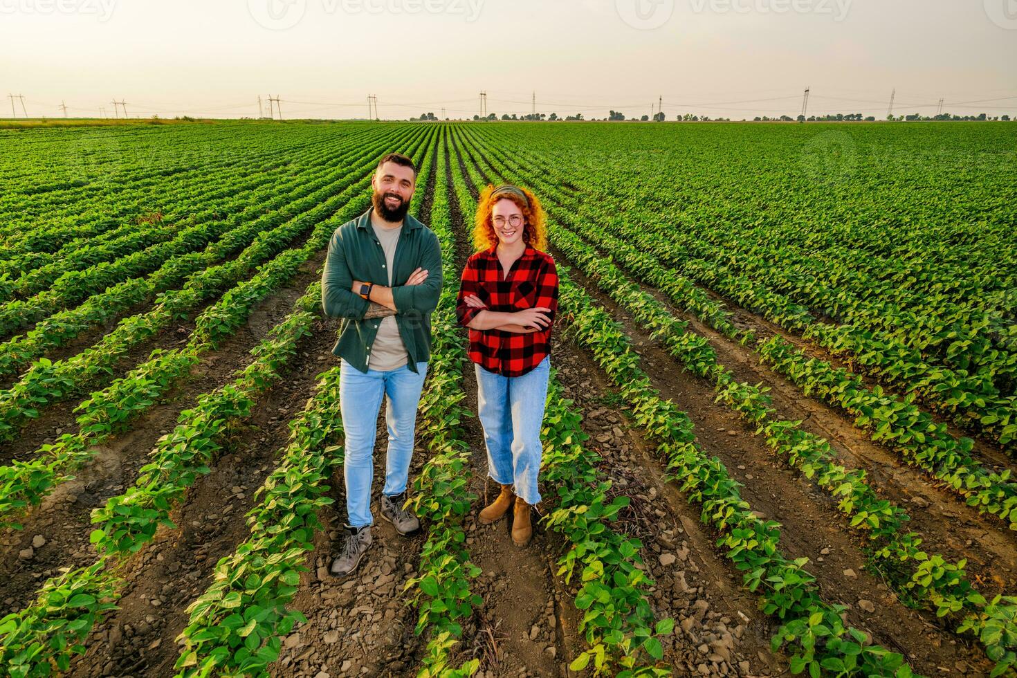 Family agricultural occupation. Man and woman are cultivating soybean. They are satisfied with good progress of plants. photo