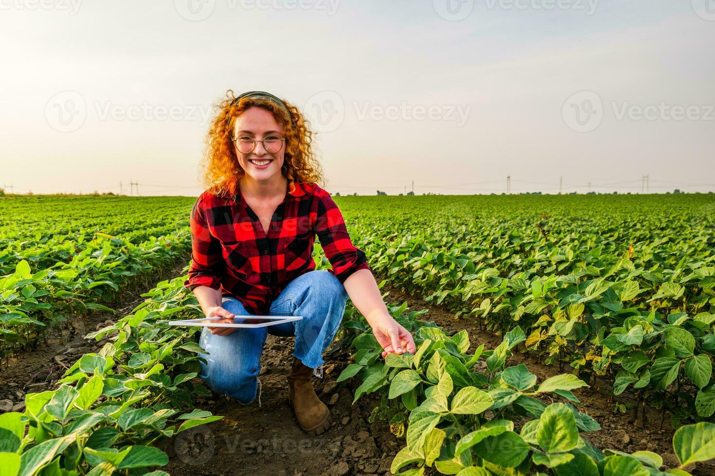 Portrait of female farmer who is cultivating soybean. She is satisfied with good progress of plants. Agricultural occupation. photo