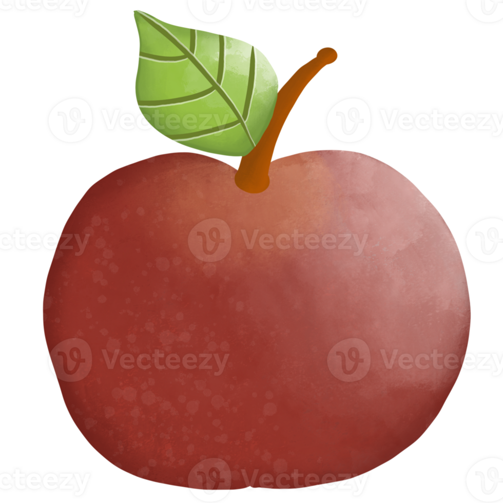 Apples have many benefits. and easy to find There are many varieties of apples. People like to eat because it's easy to buy. png