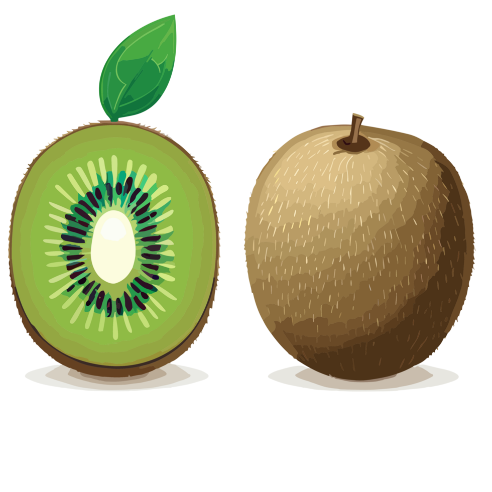 kiwi clip art transparant achtergrond, ai generatief png