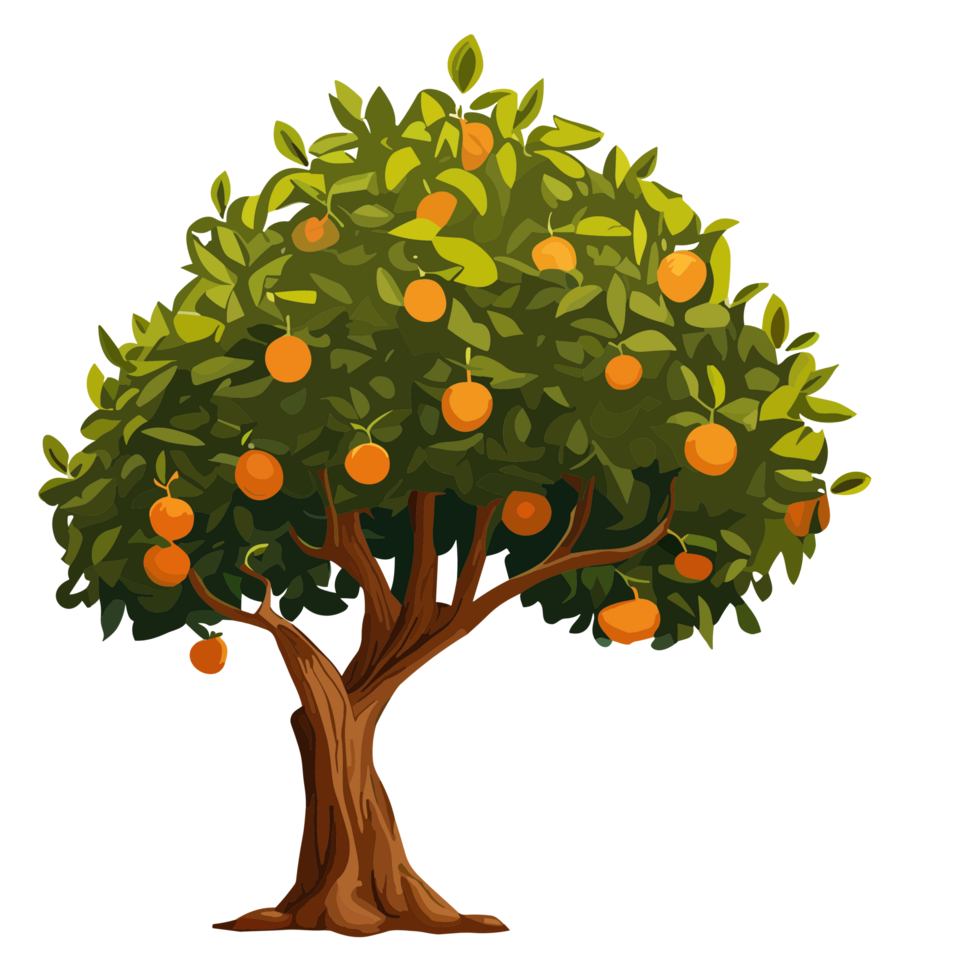 Orange tree transparent background,Ai generative 25164907 PNG