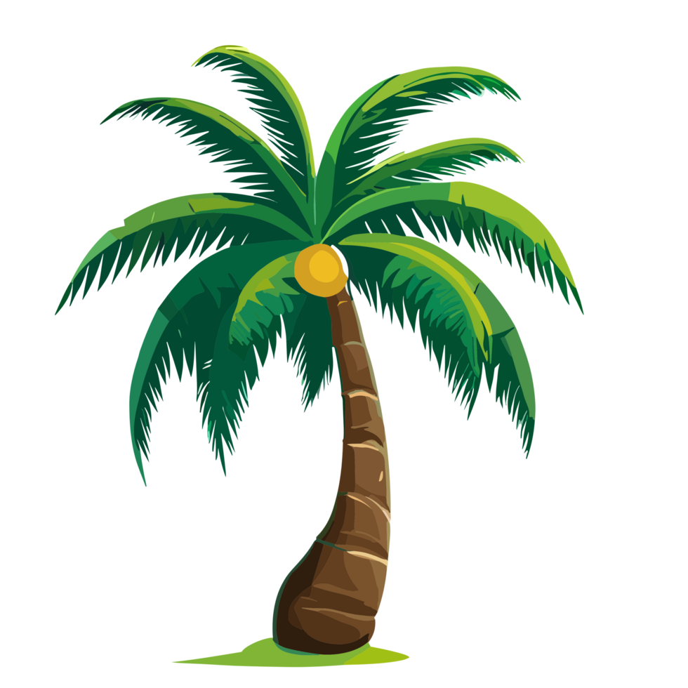 Coconut tree transparent background 25165578 PNG