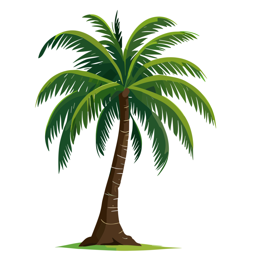 Coconut tree transparent background png