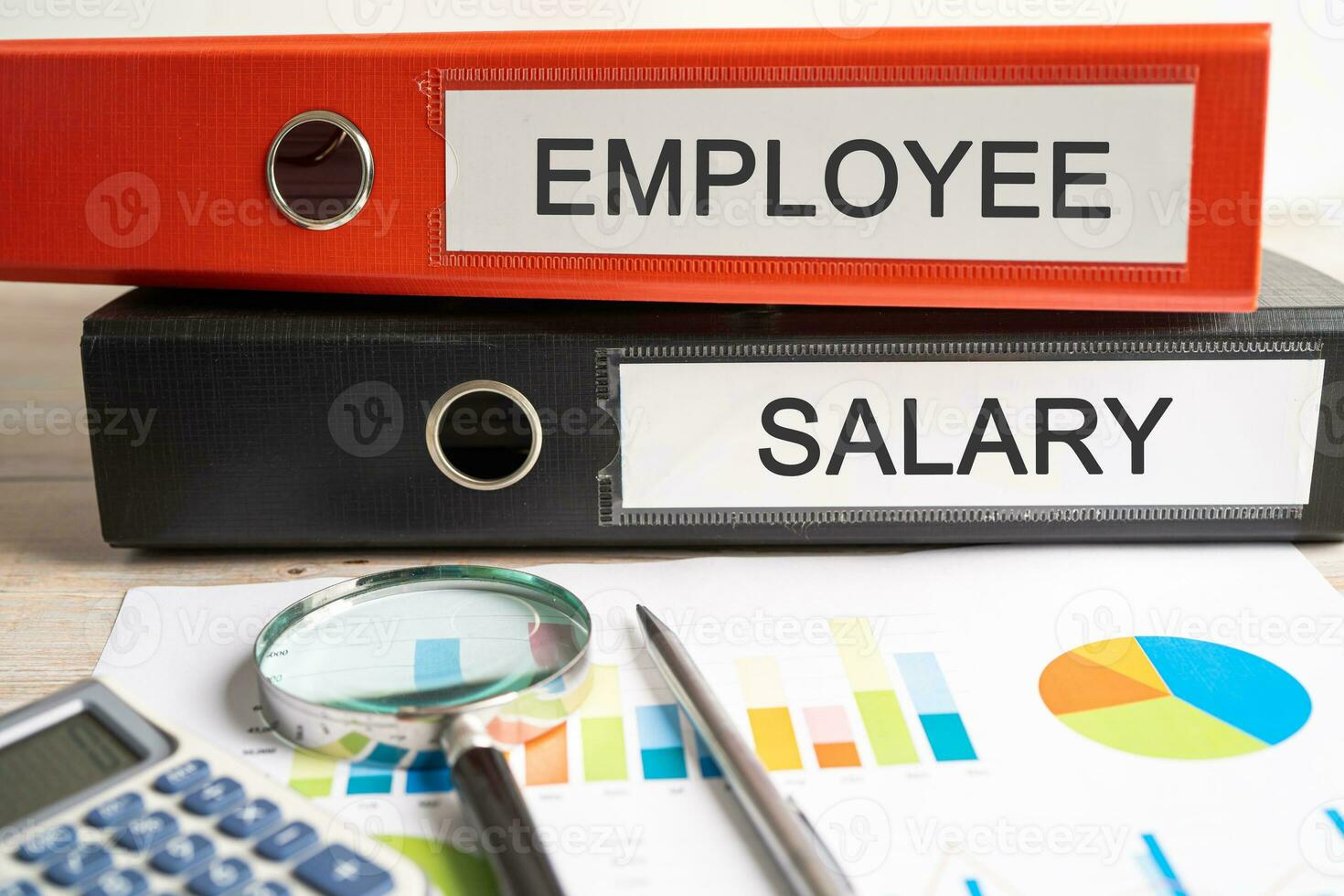 Employee, Salary. Binder data finance report business with graph analysis in office. photo