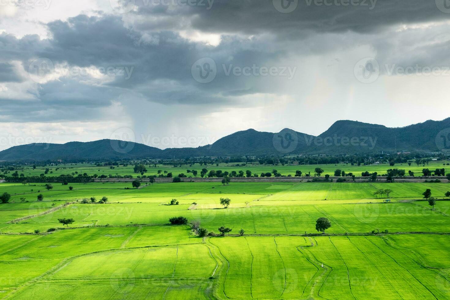 Light shine green fields and mountain photo