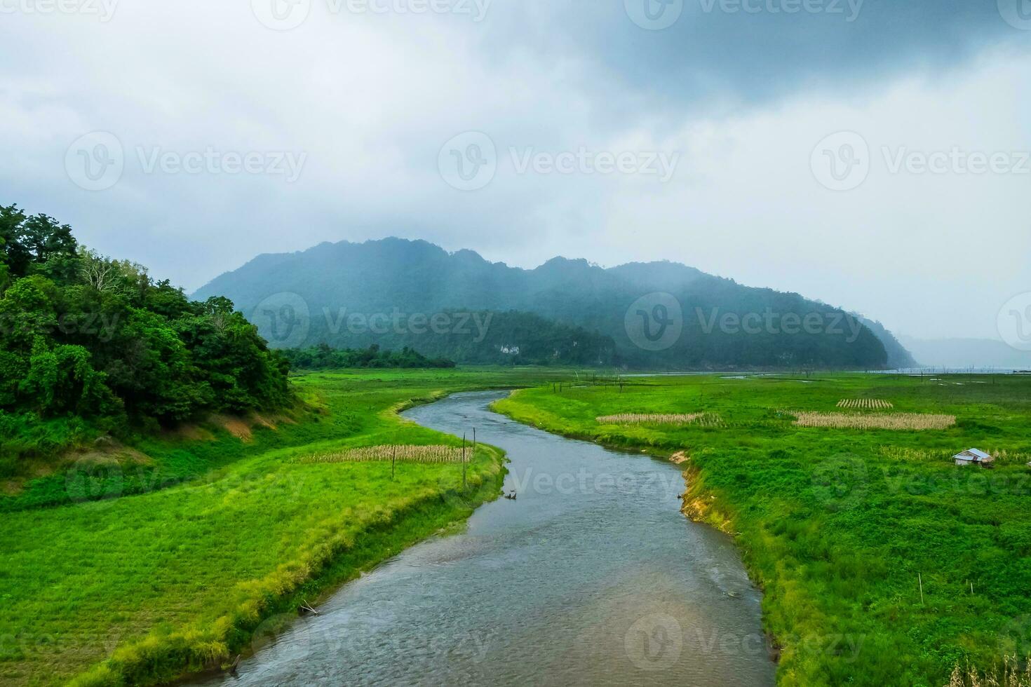 Rantee curve river with mountain fog in cultivated photo