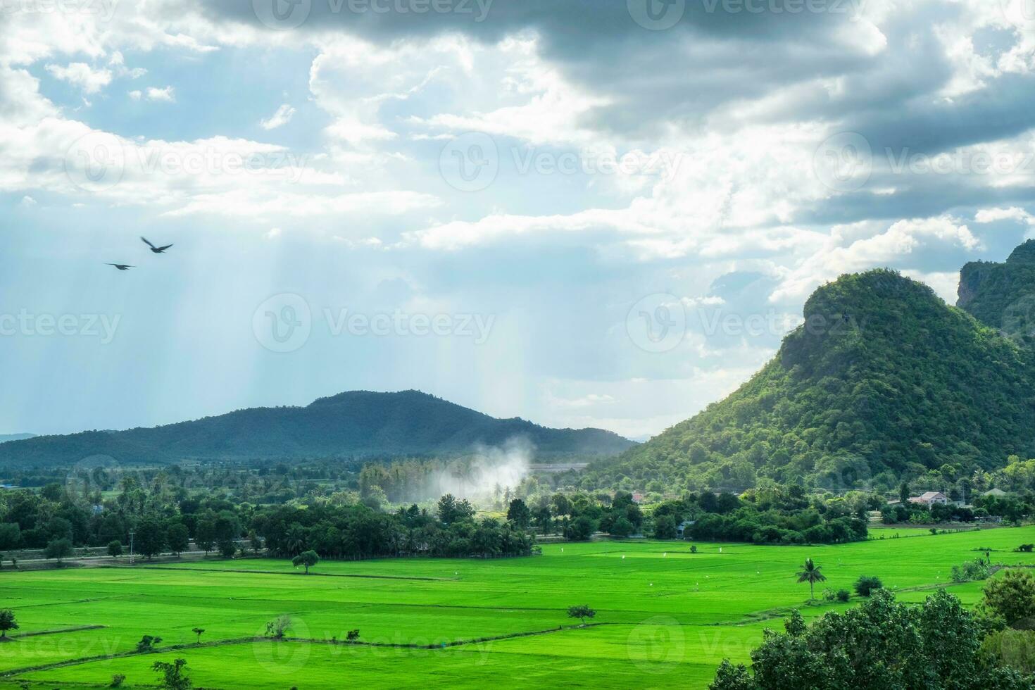 Green field mountain in countryside photo