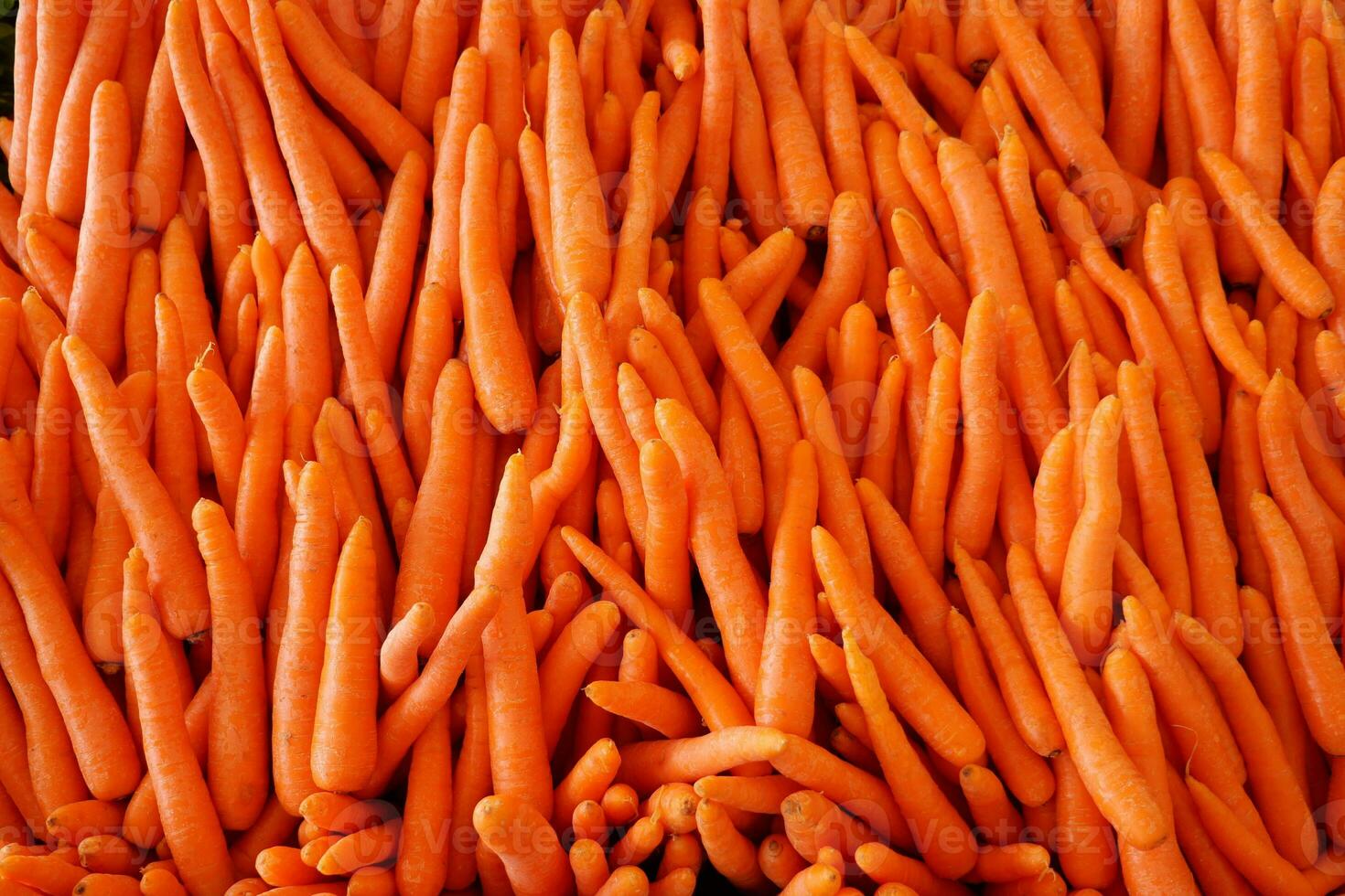 pile carrot displaying at local shop. photo