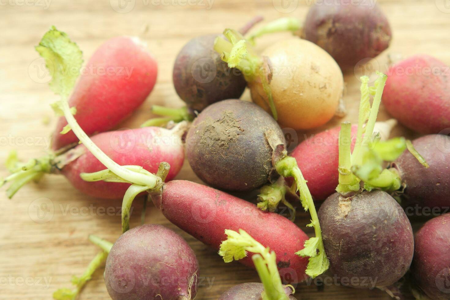 Fresh. gray and red radish bundle on chopping board on table photo