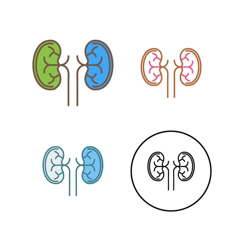 Kidney Vector Icon