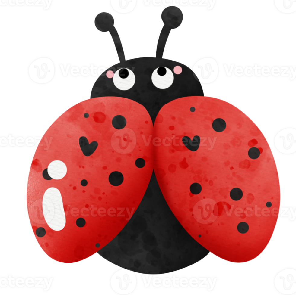 cute lady bug png