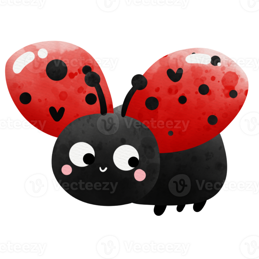 cute lady bug png