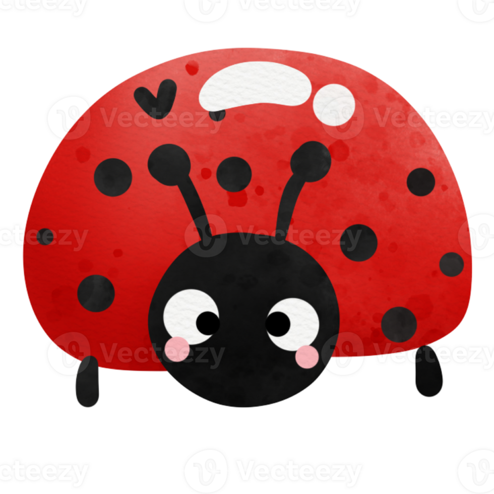 cute lady bug png