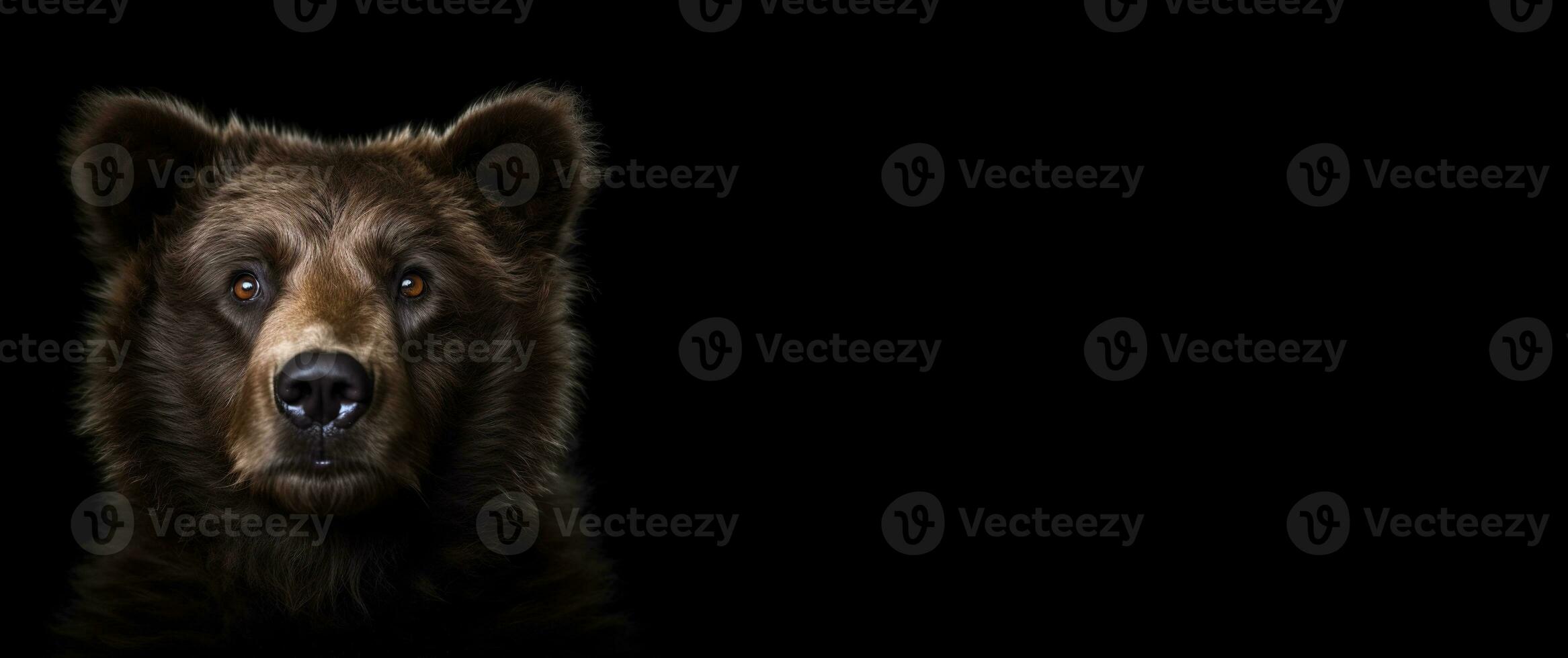 Brown bear studio portrait. A large predator on a black background with space for text. Generative AI. photo