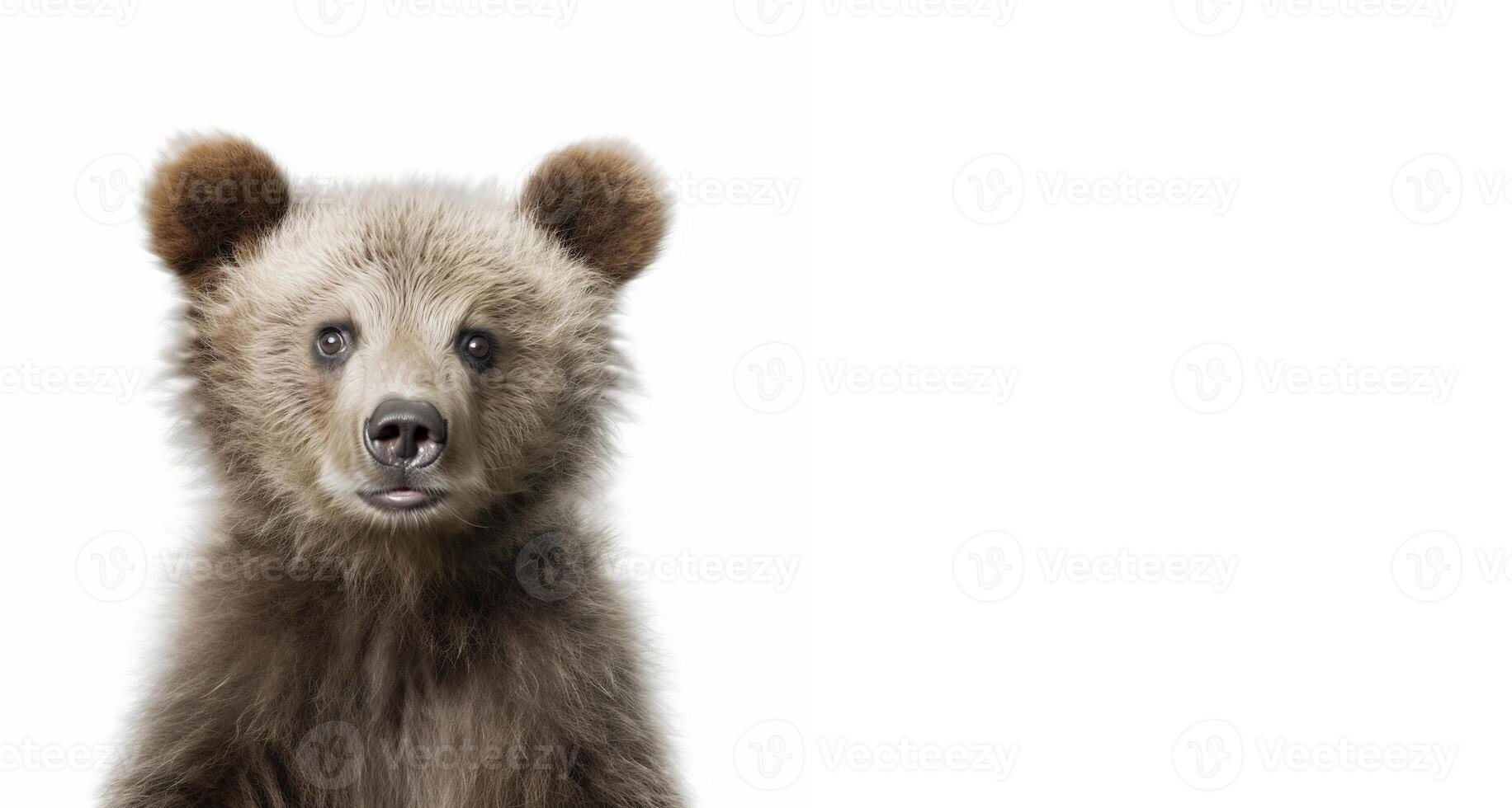 Cute brown bear cub on a background of white horizontal background with space for text. Generative AI. photo