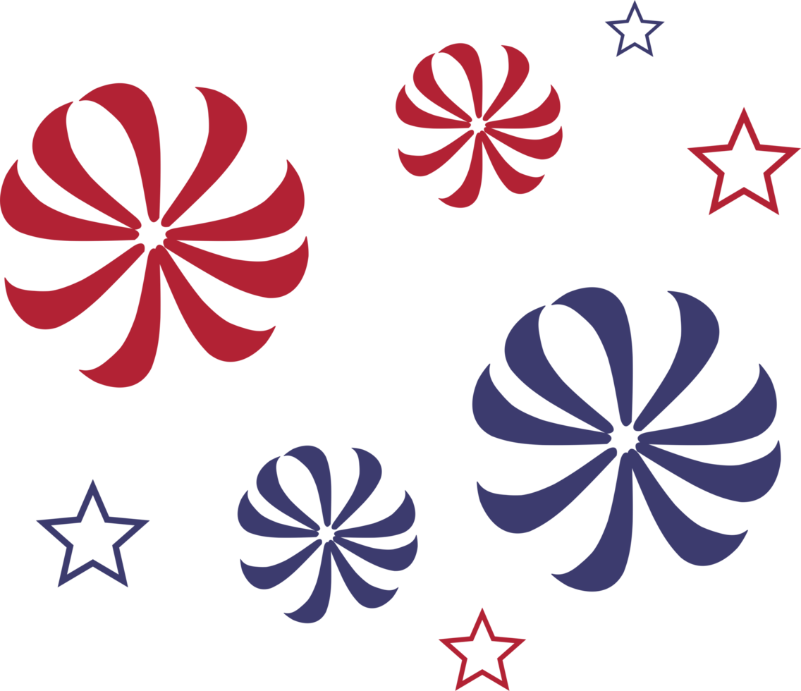 Independence day firework element PNG