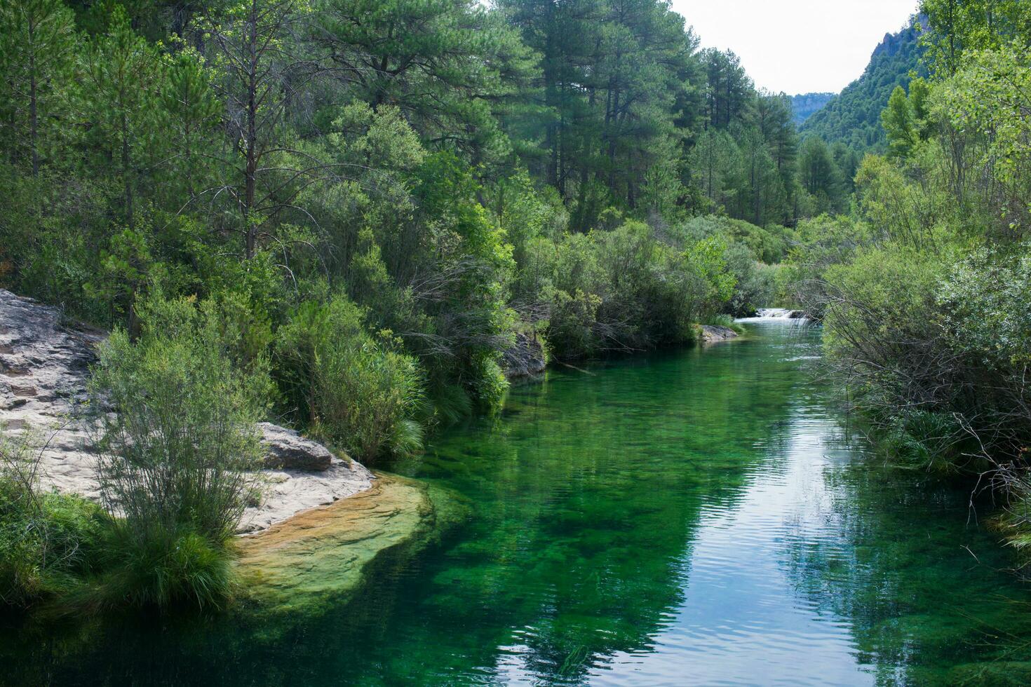 Peaceful landscape with river and green forest. Peralejos de las Truchas. photo