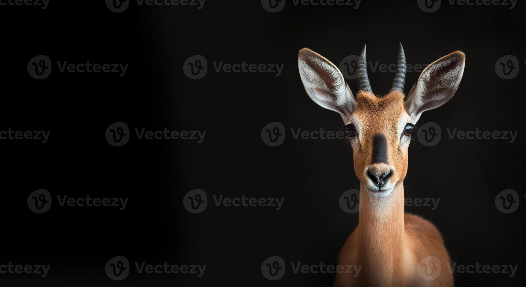 Portrait of an antelope on a black background with space for text. Wild artiodactyl animal. Generative AI photo